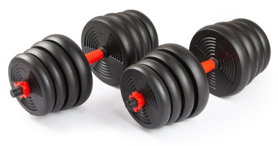 Набор гантелей со штангой и гирями 6 в 1 TREX SPORT 30 кг