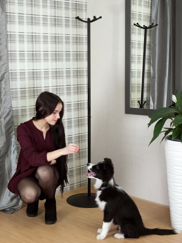 Вешалка напольная Пико 16 