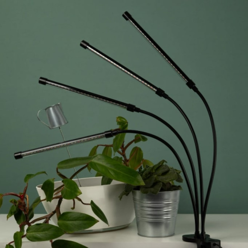 Светильник для растений ЭРА FITO-40W-АLED-RaL / Б0068288