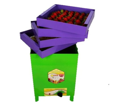 Электросушилка сухофрукт В01