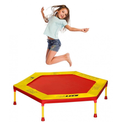 Батут Leco -IT Home 120 см