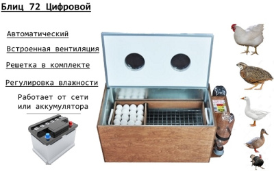 Инкубатор Блиц 72 Ц