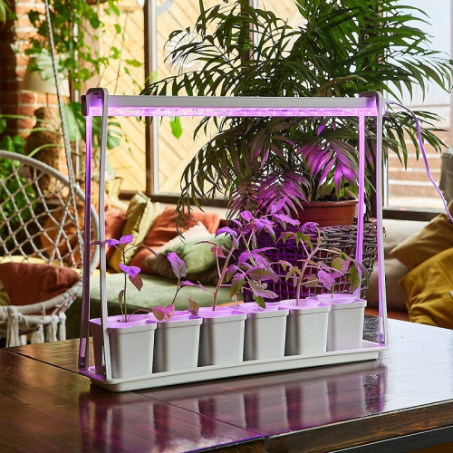 Мини-парник для рассады Uniel ULT-P56-10W/SPSB IP20 Marble Econom / UL-00006094