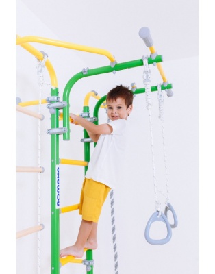 ДСК Romana S6 зеленое яблоко