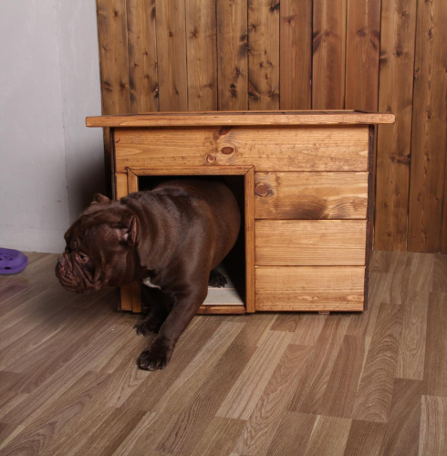 Будка для собак №1 окрашенная