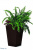 Напольное кашпо Large Rattan planter