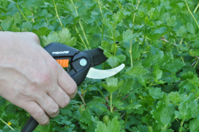 Секатор плоскостной FISKARS Single Step 111260