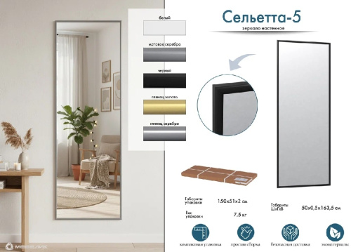 Зеркало навесное Сельетта 5 белый 