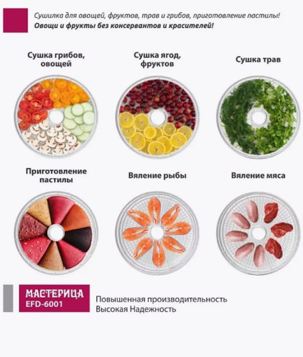 Сушилка для овощей и фруктов Мастерица EFD-6001 белый