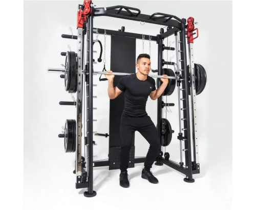 Мультистанция машина Смита DFC Gorilla Sport 822