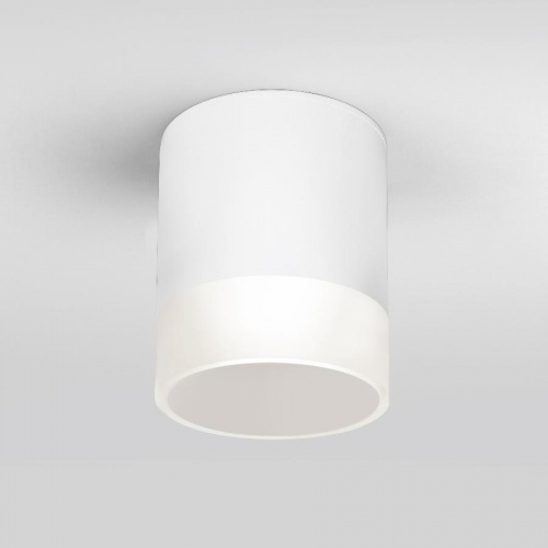 Светильник уличный Elektrostandard Light LED 2107 35140/H белый