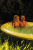Надувной джакузи Intex PureSpa Plus Bubble Massage 196х196х71 см (28494)