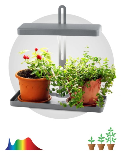 Светильник для растений ЭРА FITO-20W-QLED-G / Б0039035