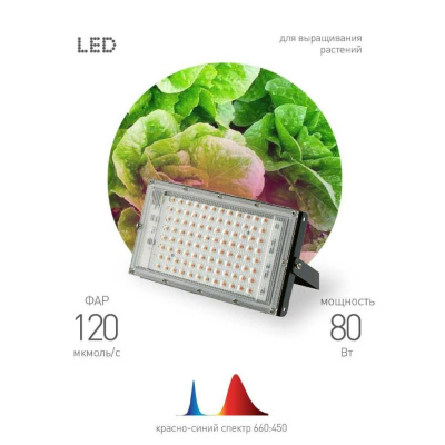 Светильник для растений ЭРА FITO-80W-RB-LED-Y / Б0053082