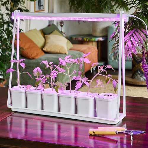 Мини-парник для рассады Uniel ULT-P56-10W/SPSB IP20 Marble Econom / UL-00006094