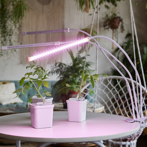 Светильник для растений Uniel ULT-P33-18W/SPLE/TM/60 / UL-00008904