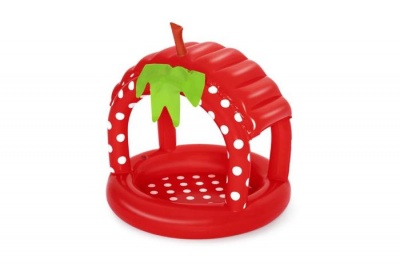 Надувной бассейн Bestway Very Berry 52387