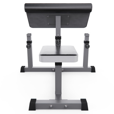 Скамья Скотта DFC Homegym AY001