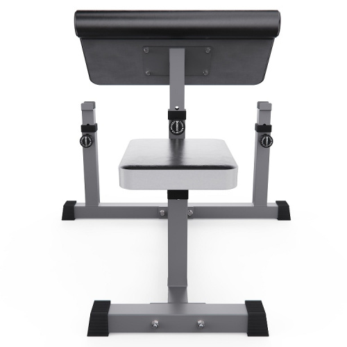 Скамья Скотта DFC Homegym AY001