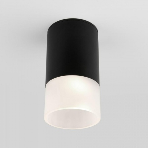Светильник уличный Elektrostandard Light 2106 35139/H черный