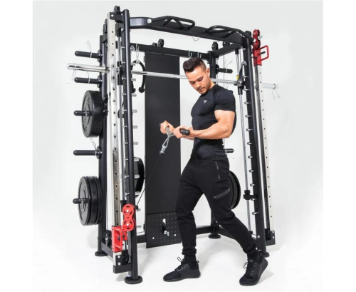 Мультистанция машина Смита DFC Gorilla Sport 822