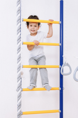 ДСК Romana R2 синяя слива