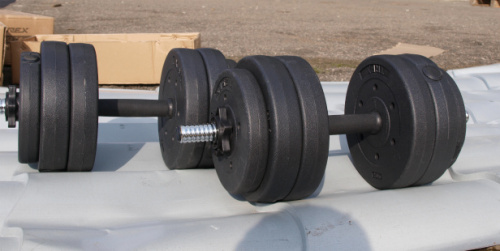 Набор гантелей TREX Sport 2x13 кг