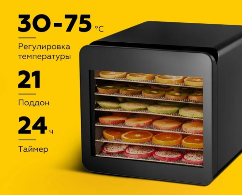 Сушильный шкаф для овощей и фруктов BQ FD1006 черный