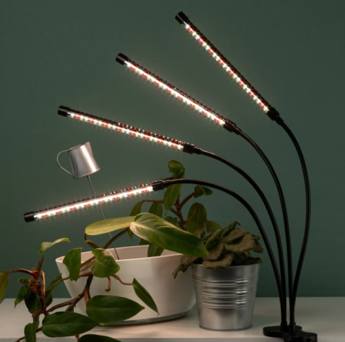 Светильник для растений ЭРА FITO-40W-АLED-RaL / Б0068288