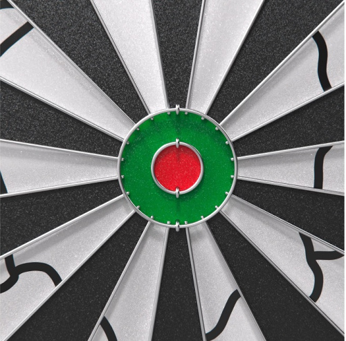 Дартс DFC PRINT двусторонний 45 см 6 дротиков