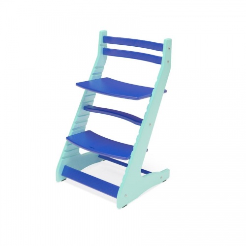 Растущий регулируемый стул Вырастайка Eco Prime синий бирюзовый 