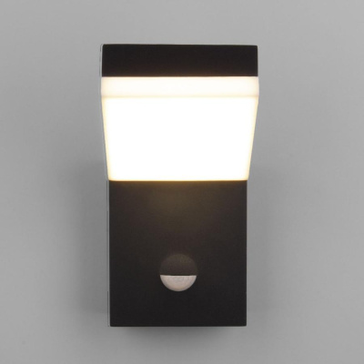 Бра уличное Elektrostandard Techno LED 1541 черный