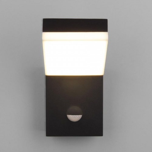 Бра уличное Elektrostandard Techno LED 1541 черный