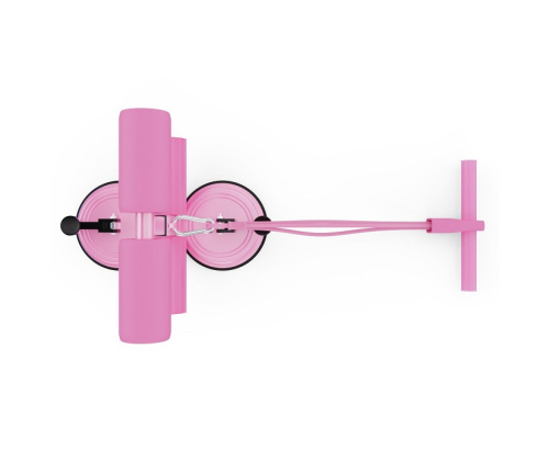 Тренажёр для пресса DFC SQ-AB002P розовый