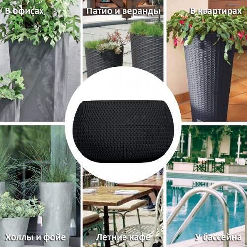 Кашпо для цветов Prosperplast Splofy Bowl DKSP370-S433
