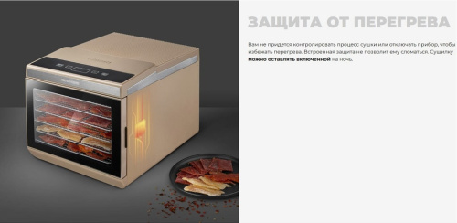 Сушильный шкаф для овощей и фруктов Redmond FD1105 бежевый