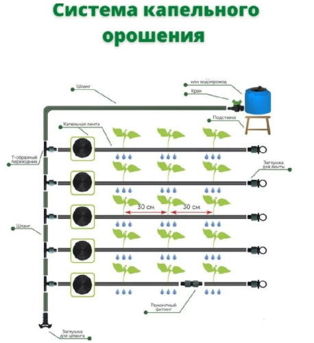 Капельный полив Синьор Помидор ЭКО 100 м