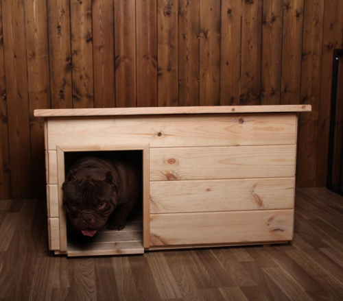 Будка для собак №3 неокрашенная