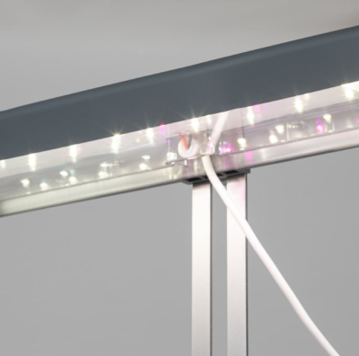 Светильник для растений ЭРА FITO-20W-QLED-G / Б0039035