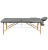 Массажный стол Alpin TMW-60 GRAY Массажный стол Alpin TMW-60 GRAY