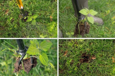 Культиватор садовый Tornadica TOR-32SOR