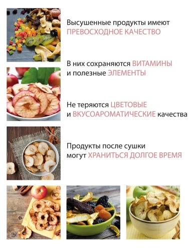 Сушилка для овощей и фруктов Pioneer FD806D