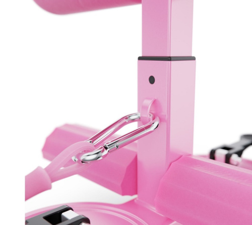Тренажёр для пресса DFC SQ-AB002P розовый