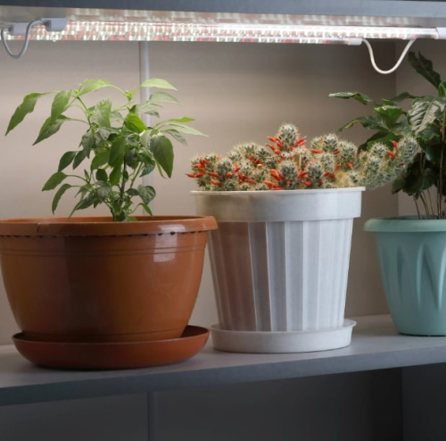 Светильник для растений ЭРА FITO-3х10W-LINE-Ra90 / Б0049315