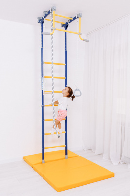 ДСК Romana R2 синяя слива