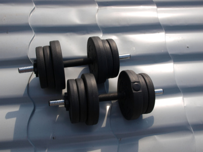 Набор гантелей TREX Sport 2x10,5 кг