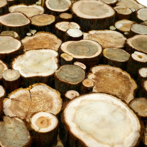 Панно из спилов можжевельника 3D 1000х500мм