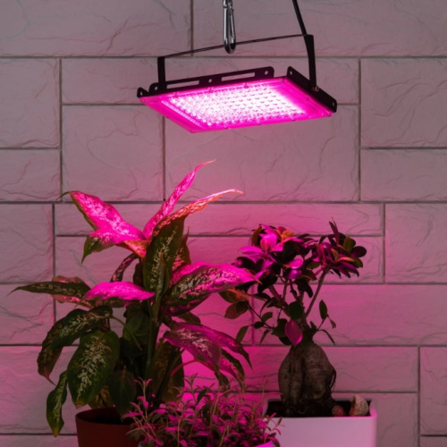 Светильник для растений ЭРА FITO-80W-RB-LED-Y / Б0053082