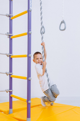 ДСК Romana R4 сиренево-голубой