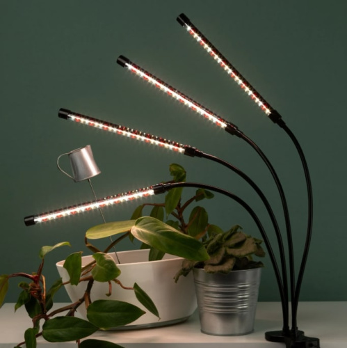 Светильник для растений ЭРА FITO-40W-АLED-RB / Б0068219